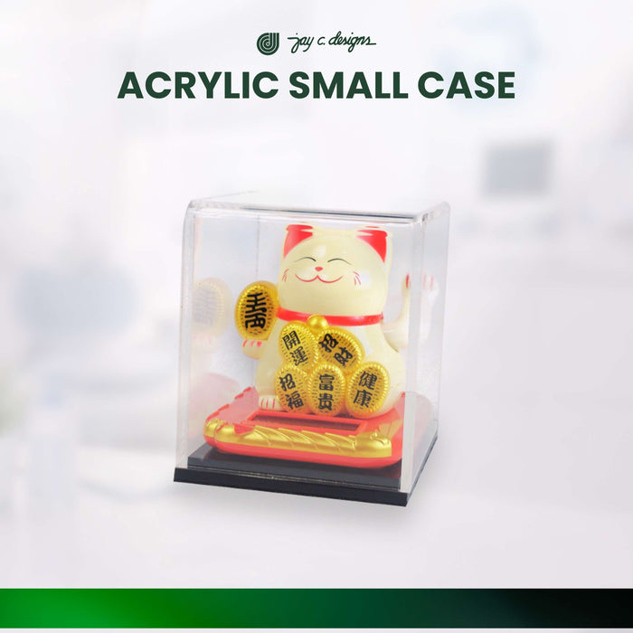 Acrylic Small Case 3050