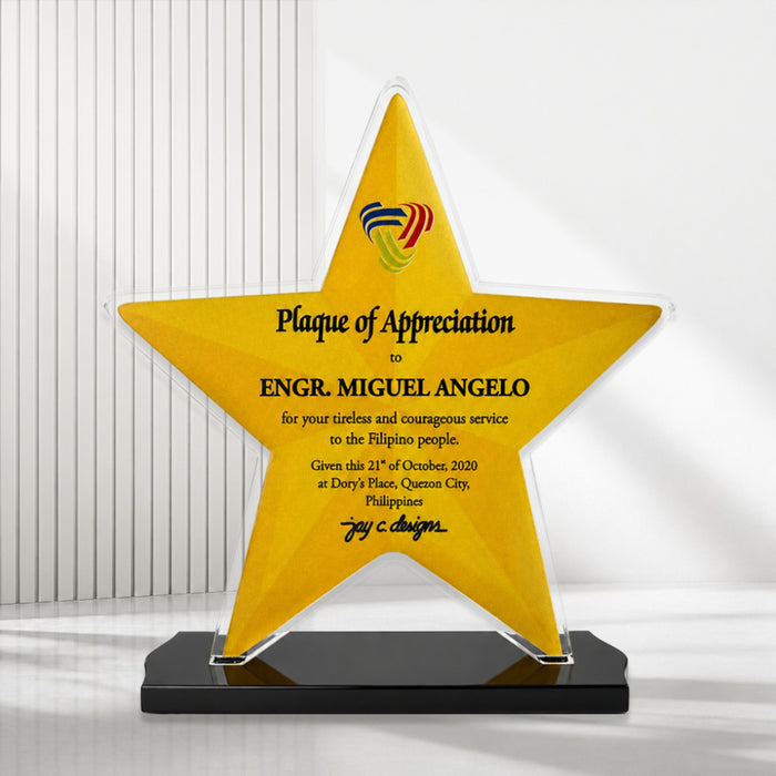 Acrylic Trophies & Plaques 8009